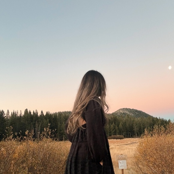 POSH AMBASSADOR II 12/11/2024 - Picture 2 of 5